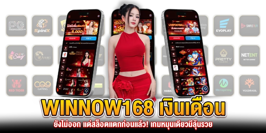 winnow168-slot-แตกง่าย
