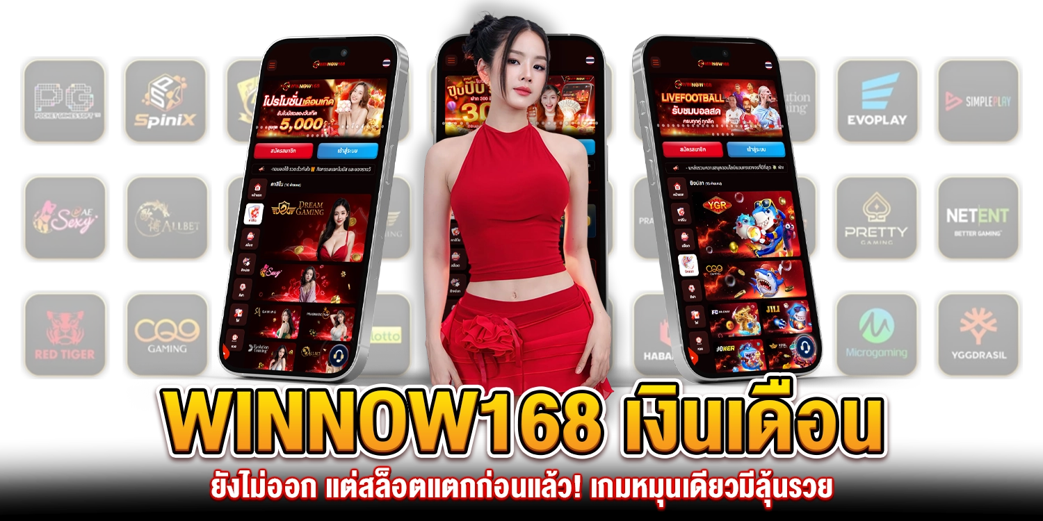 winnow168-slot-แตกง่าย